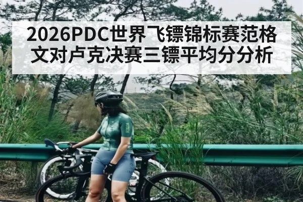 2026PDC世界飞镖锦标赛范格文对卢克决赛三镖平均分分析